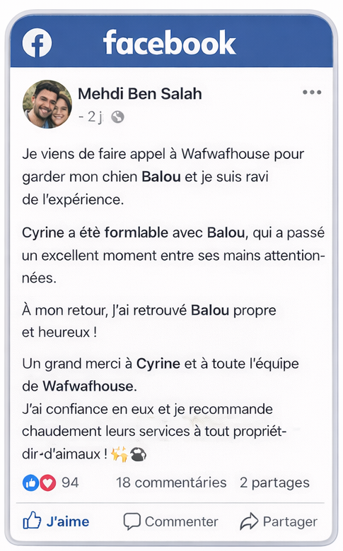 ⭐⭐⭐⭐⭐